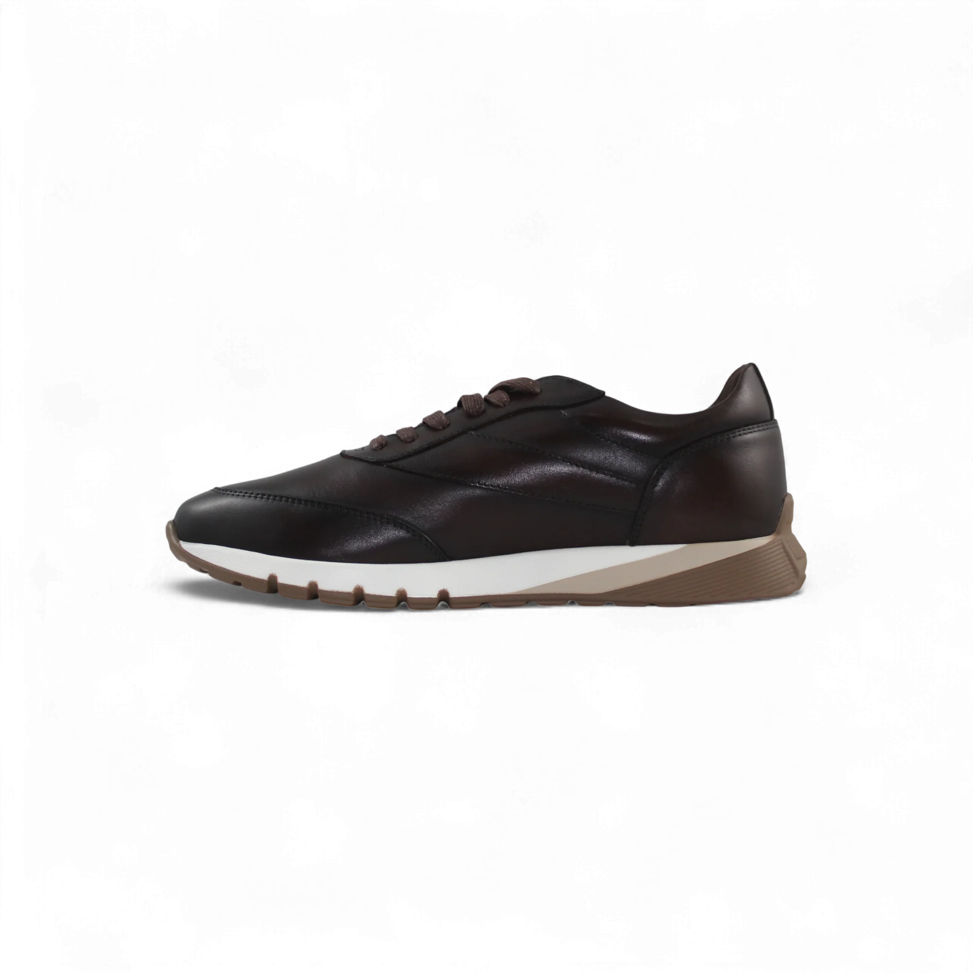 Alfonso - H25121 - Image 4